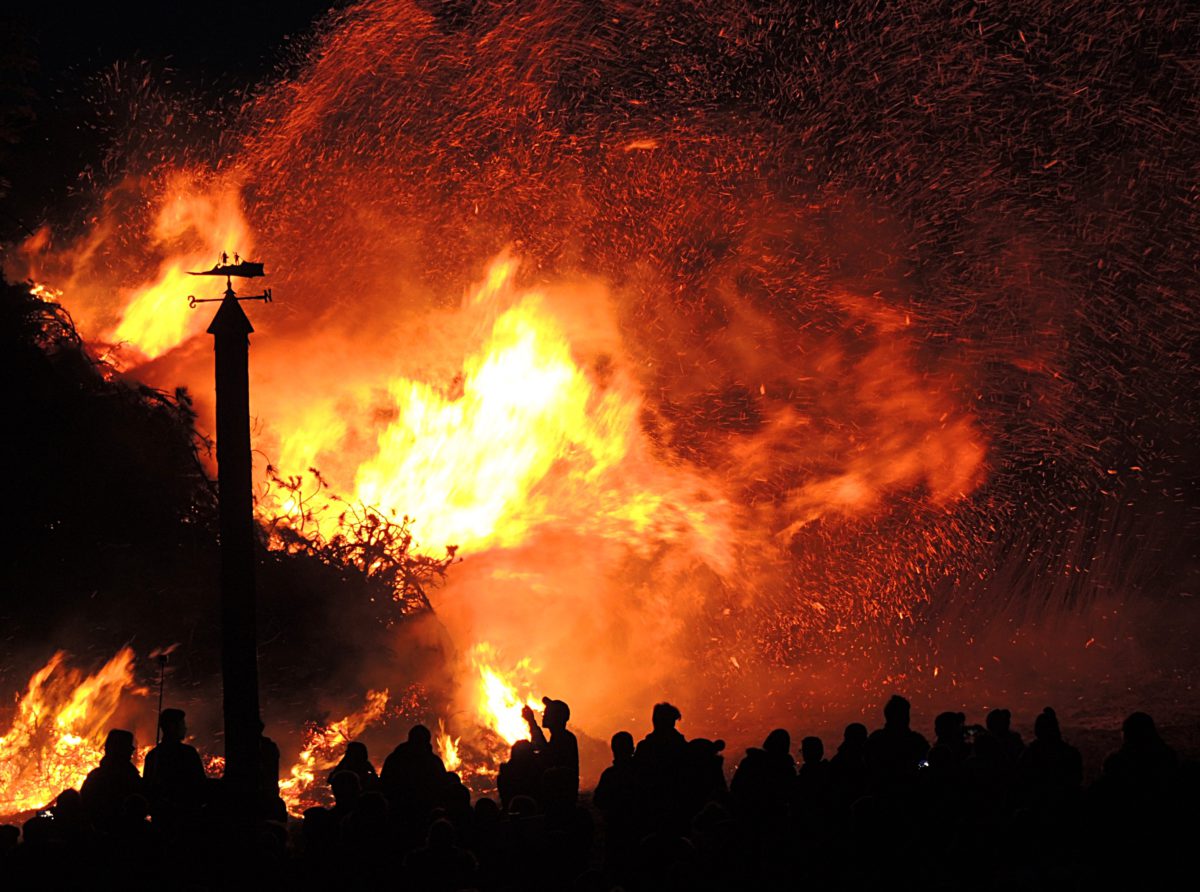 People near forest fire